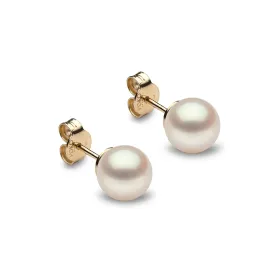 Classic White Freshwater Pearl Stud Earrings in 18ct Yellow Gold
